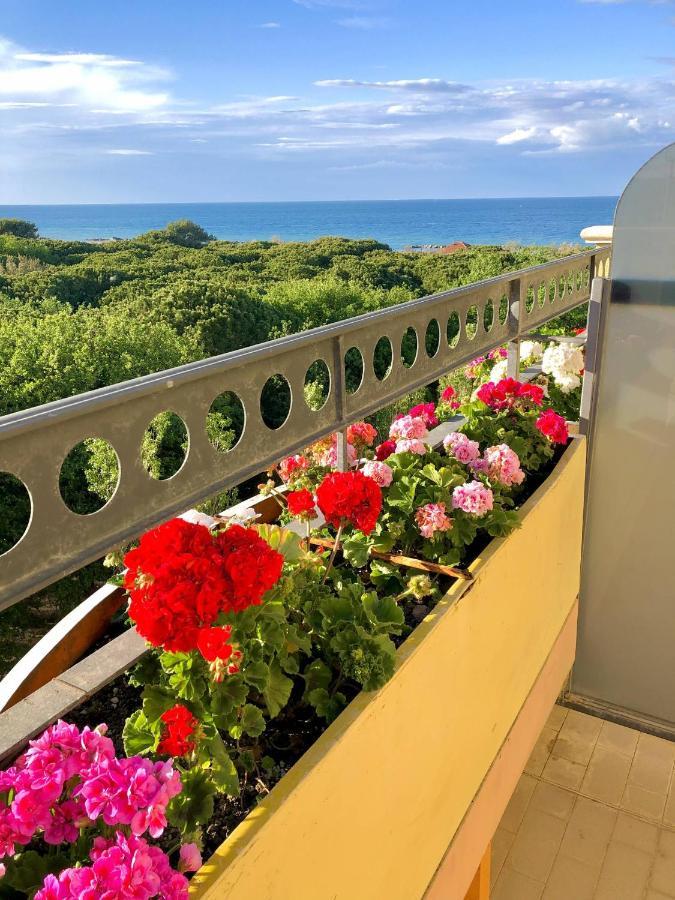 Hotel Caravel B&B ميسانو ادرياتيكو المظهر الخارجي الصورة